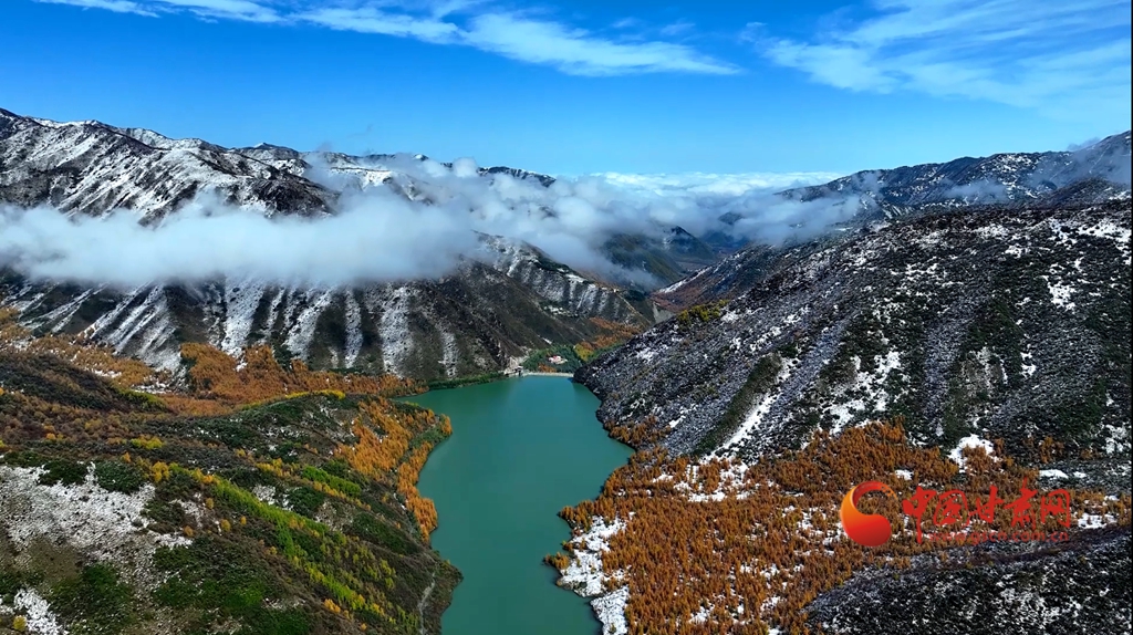 【隴拍客】太子山秋韻：高原風(fēng)拂層林處 雪與彩葉繪山河